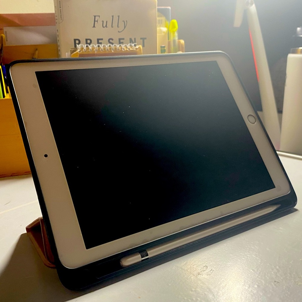 6th generation Apple iPad + accessory Bundle (Apple Pencil + case)